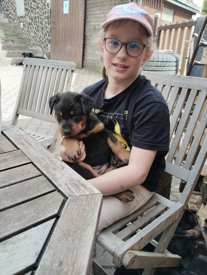 jsou to mazlíci